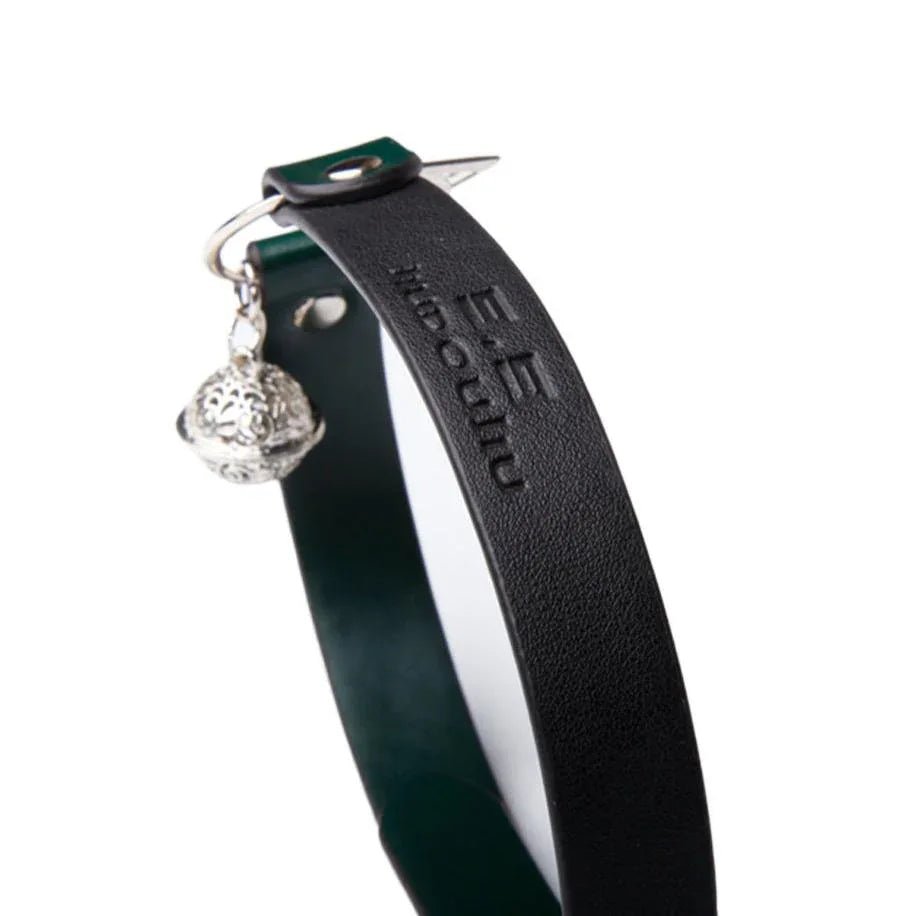 BDSM Kitten Play Collar and Leash Set