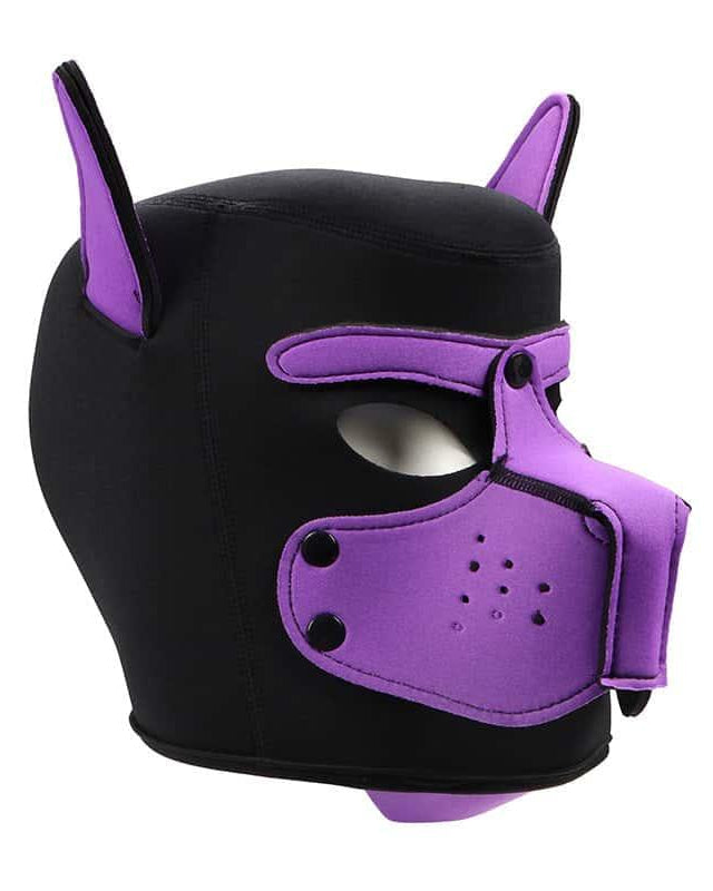 BDSM Roleplay Dog Mask with Detachable Snout