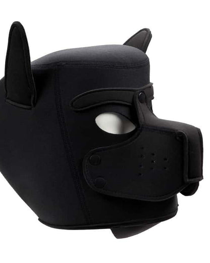 BDSM Roleplay Dog Mask with Detachable Snout