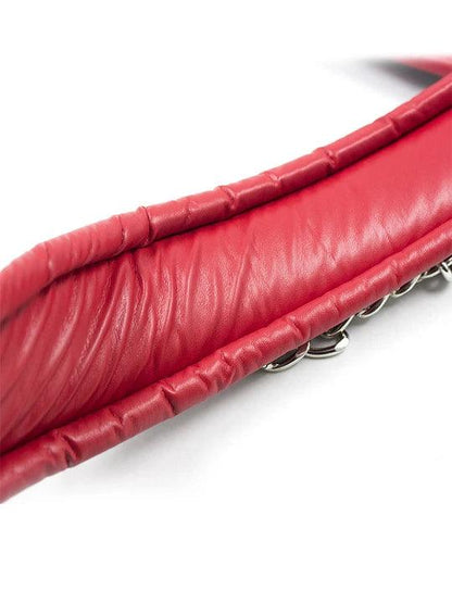 BDSM Wrist & Ankle Bondage