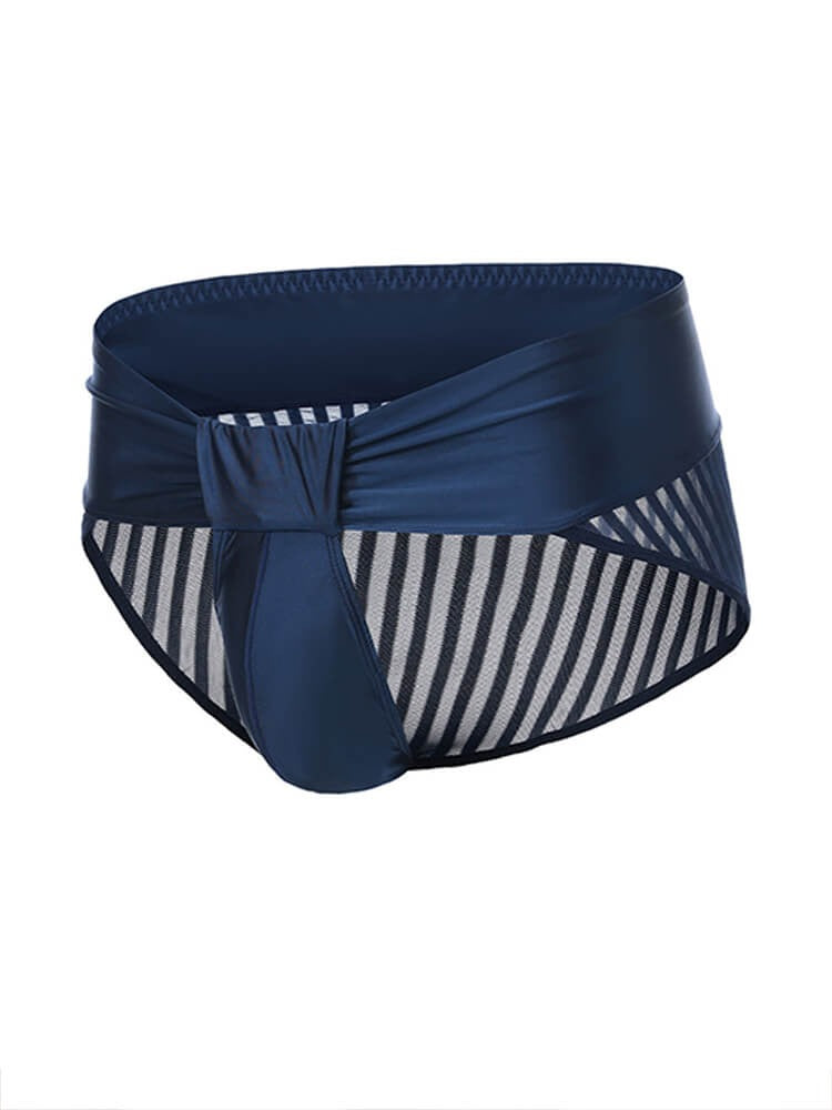Midnight Allure Satin & Sheer Pouch Brief