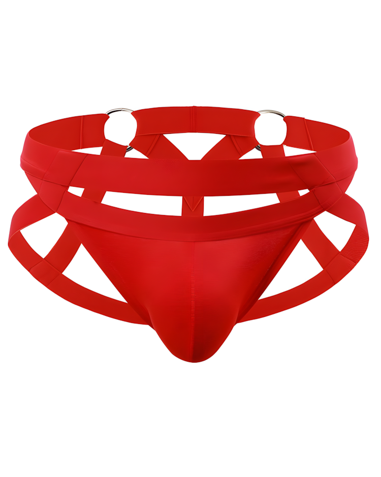 Men's Metal Ring Harness Thong
