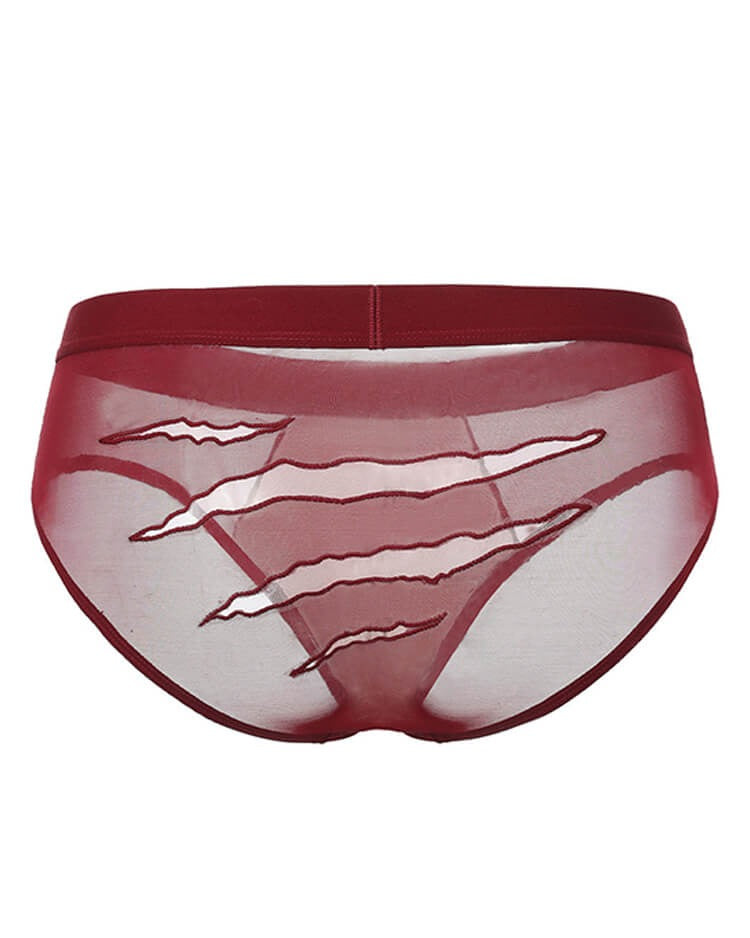AFTERMATH Embroidered Claw-Mesh Brief