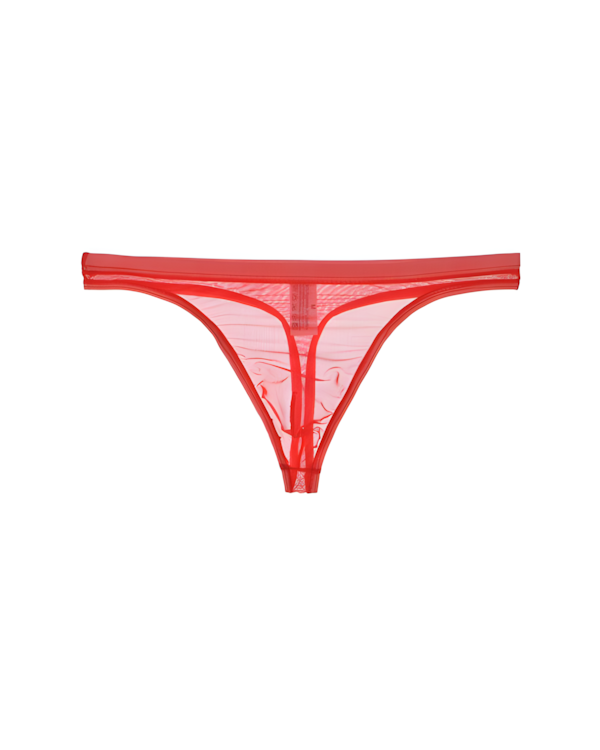 Men's Ultra-Thin Sheer Mesh Low Rise Thong