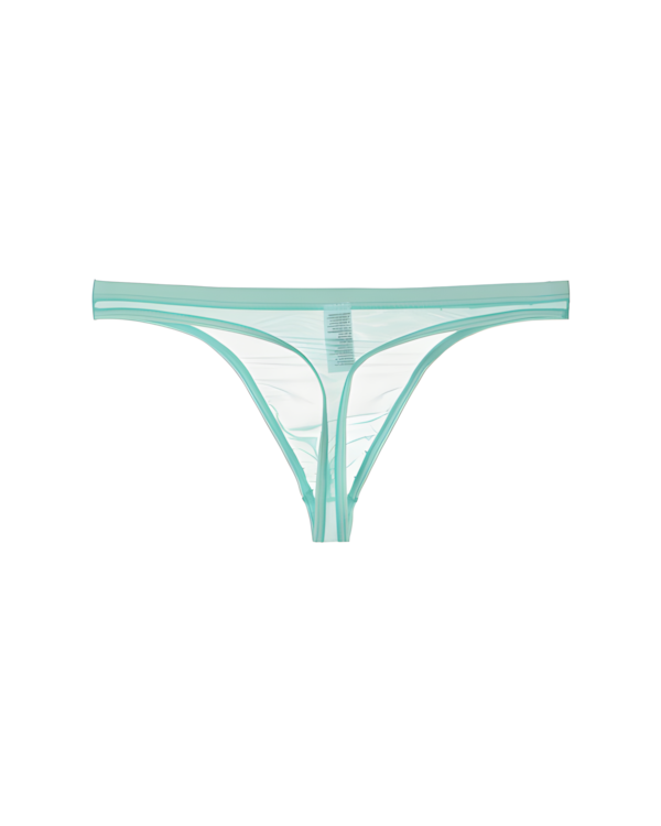Men's Ultra-Thin Sheer Mesh Low Rise Thong