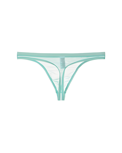 Men's Ultra-Thin Sheer Mesh Low Rise Thong