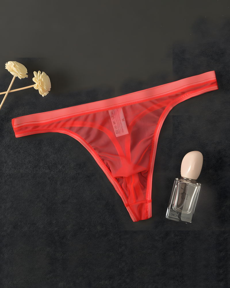 Men's Ultra-Thin Sheer Mesh Low Rise Thong