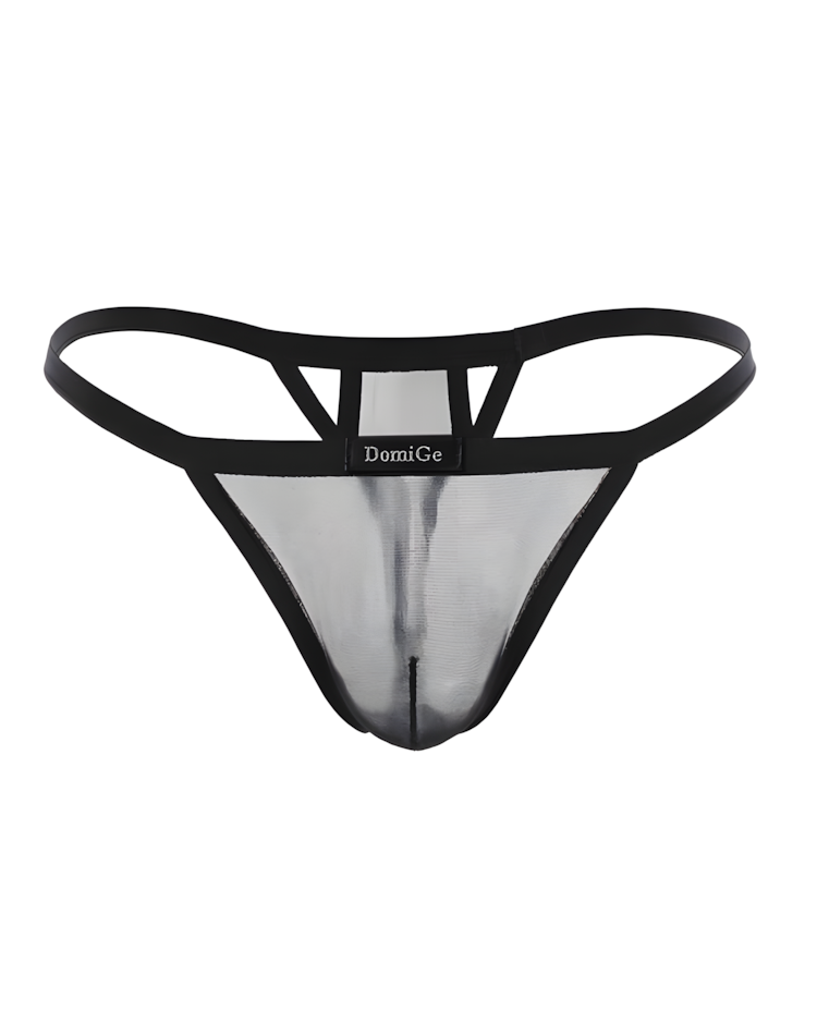 Men's Ice Silk See-Through Mesh Thong