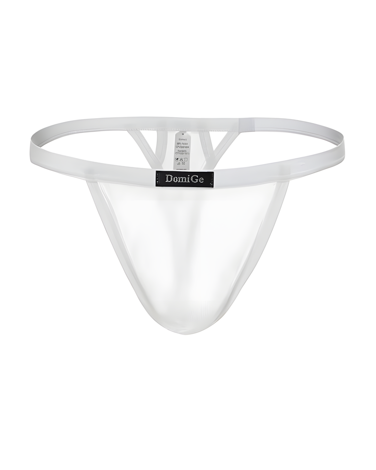 Men's Ice Silk See-Through Mesh Thong