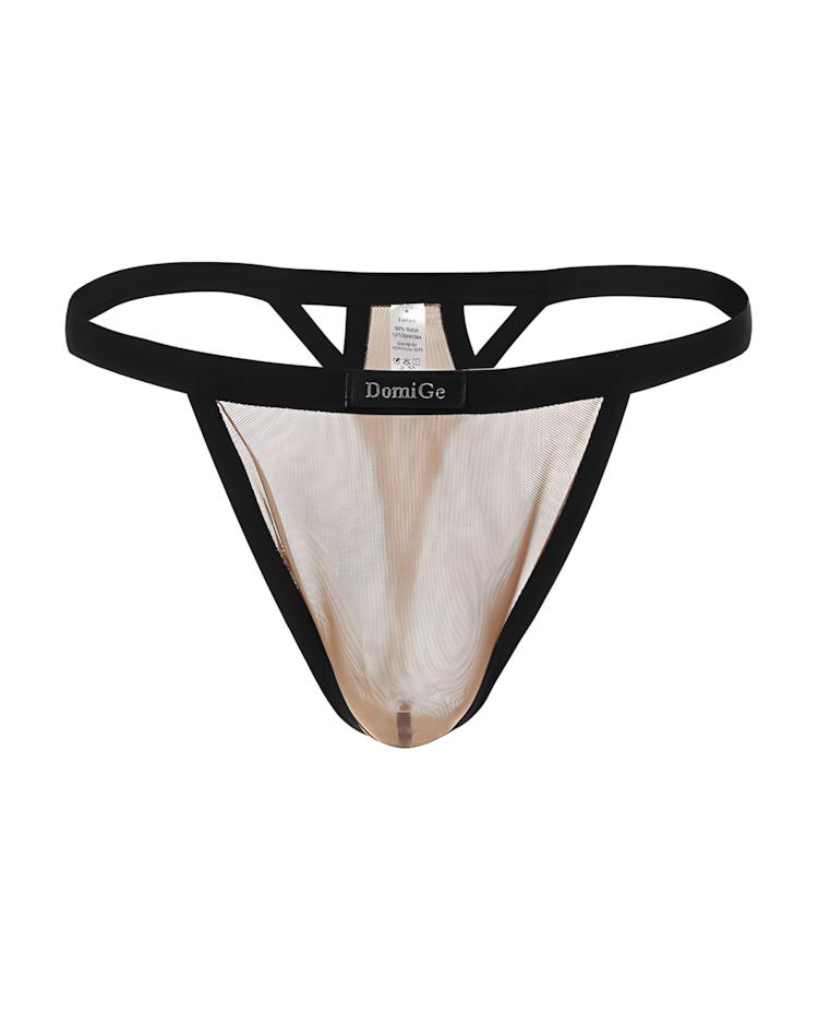 Men's Ice Silk See-Through Mesh Thong