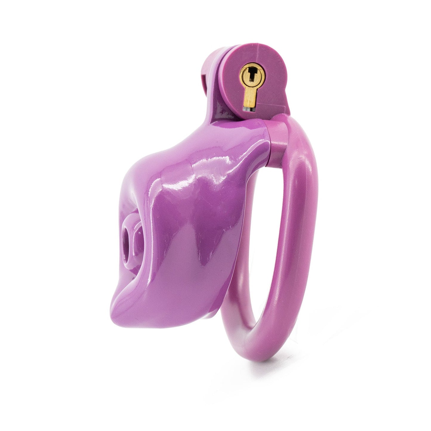 Male Dog Penis Chastity Lock - YJS004