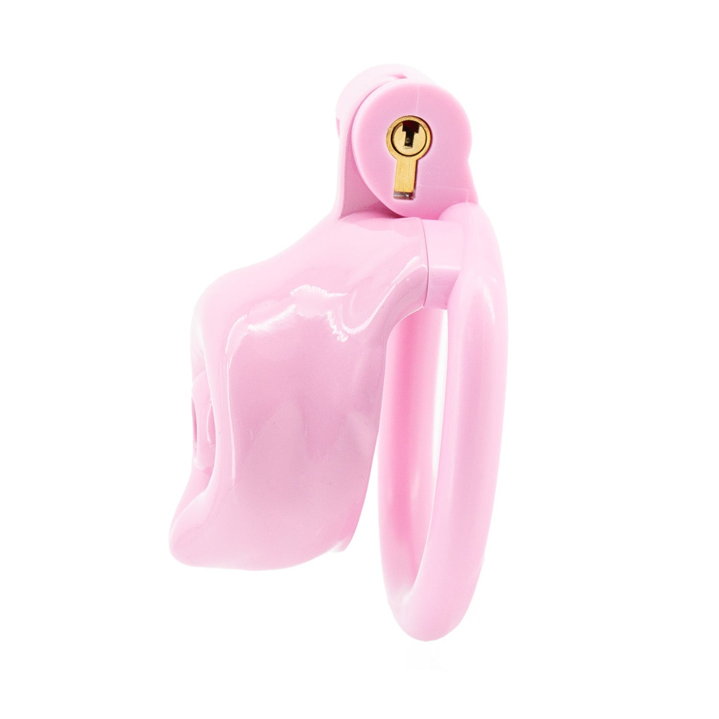 Male Dog Penis Chastity Lock - YJS004