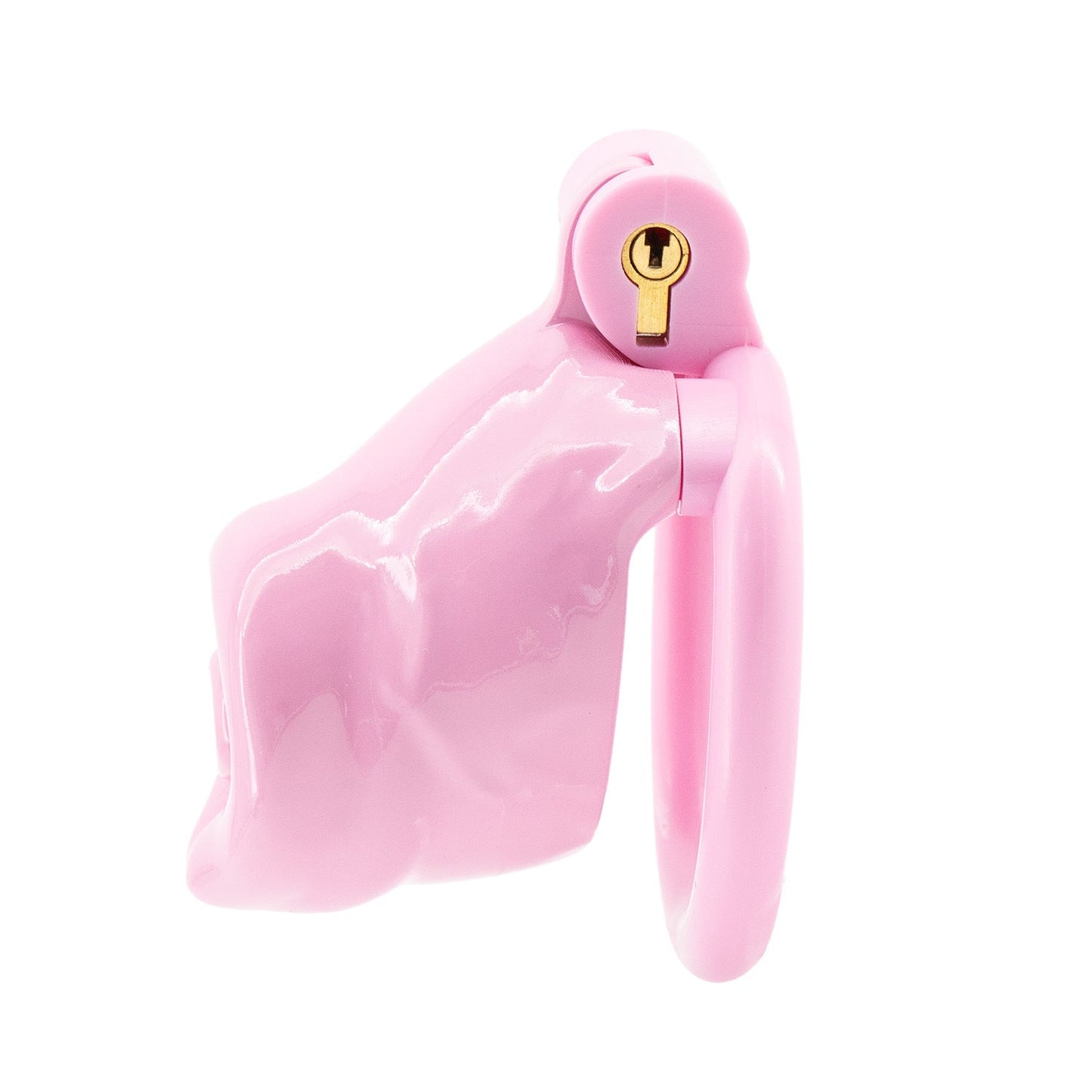 Male Dog Penis Chastity Lock - YJS004
