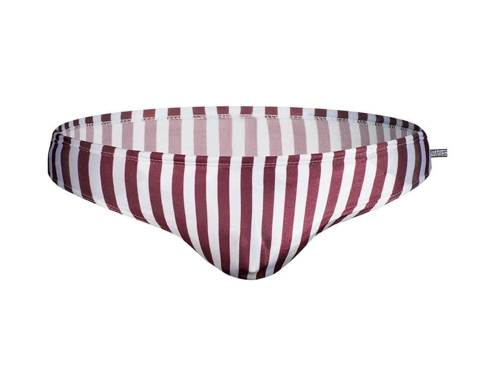 Men's Aquatic Rhythms Striped Swim Briefs - YK019