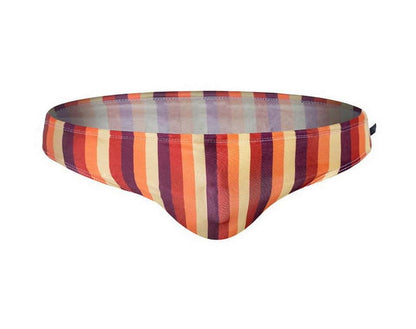 Men's Aquatic Rhythms Striped Swim Briefs - YK019