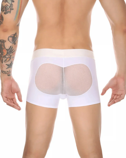 Men’s Mesh Big Pouch and Peach Butt Boxer - PJK035