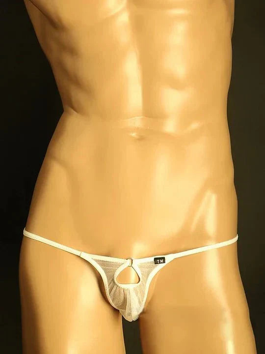 Men's Mesh Transparent Hollow-out G - String Thong - GZK019