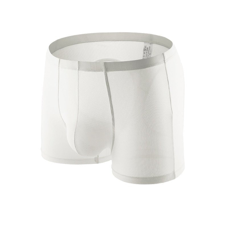 Men's Sexy Mesh Hip Hollow Boxer Briefs - PJK043