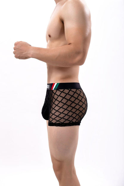 Men's Sexy Mesh Sheer Trunks - PJK032