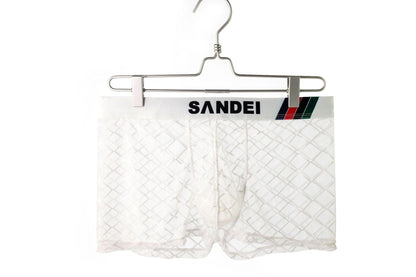 Men's Sexy Mesh Sheer Trunks - PJK032