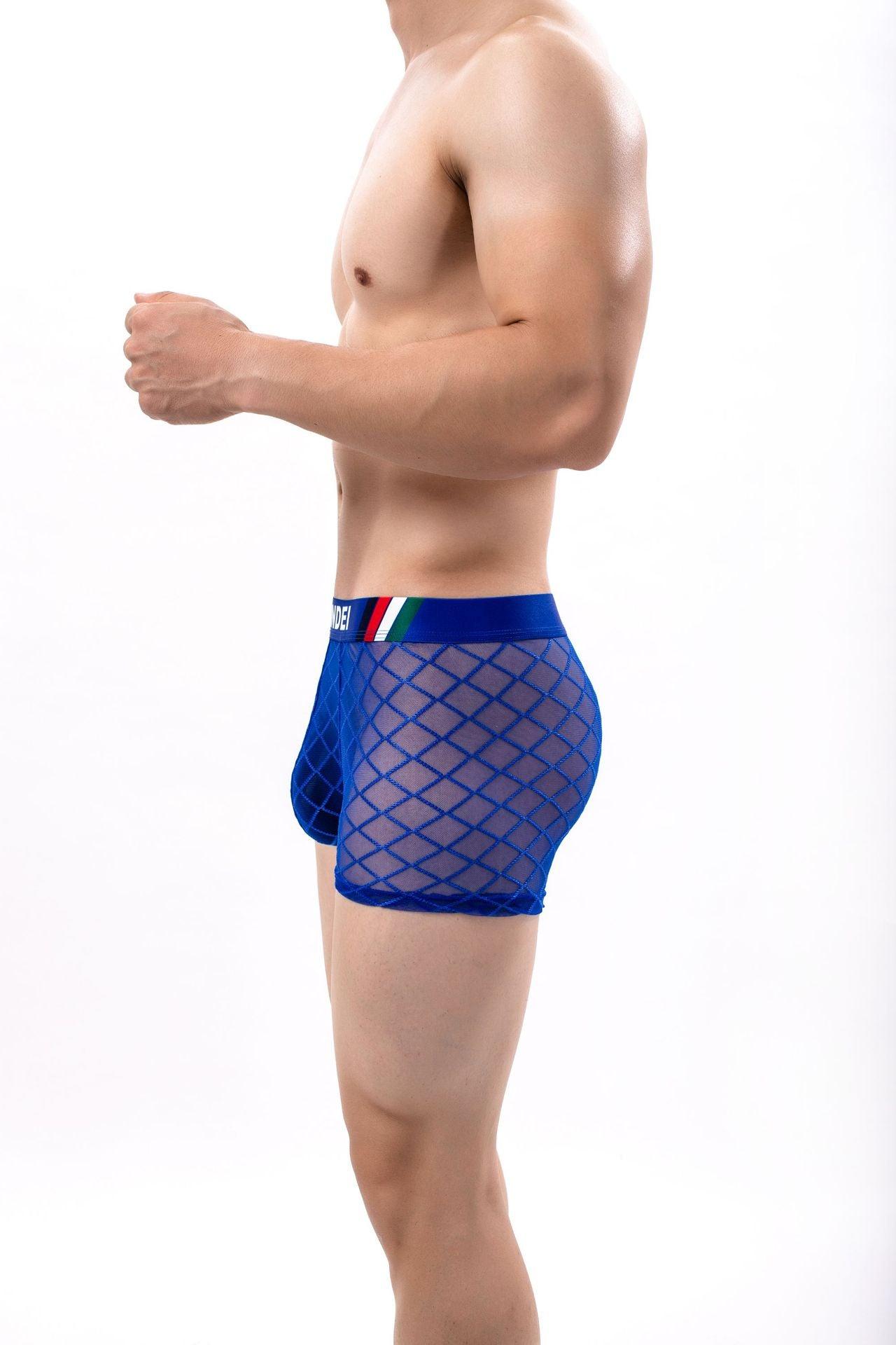 Men's Sexy Mesh Sheer Trunks - PJK032