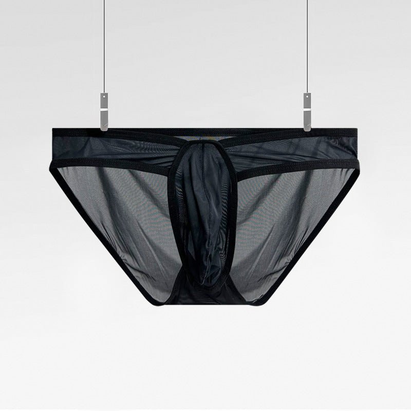 Men's Ultra-thin Transparent Sexy Briefs - SJK060