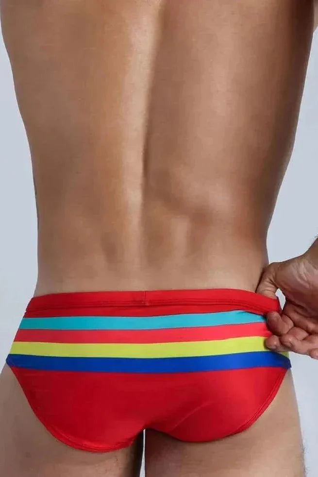 Colorful Striped Bikini Low Rise Briefs