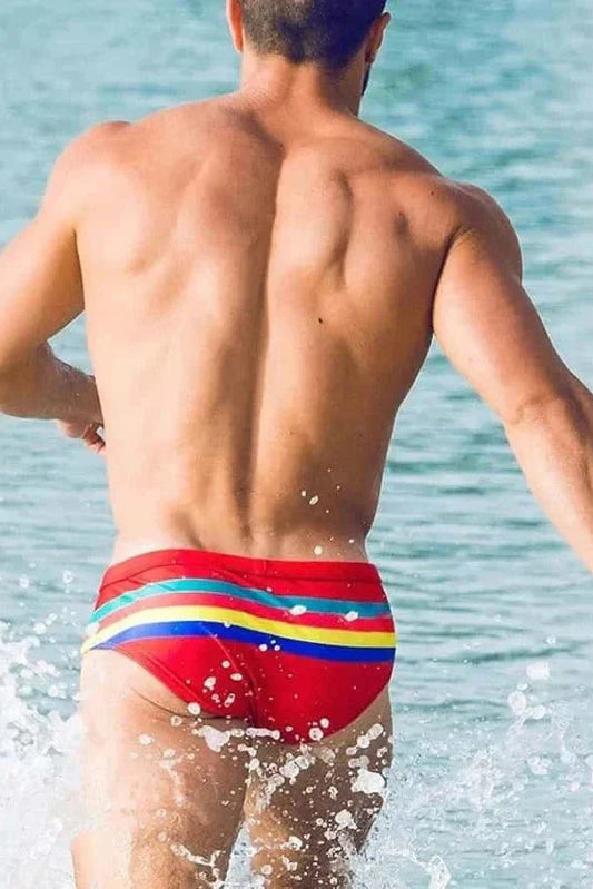 Colorful Striped Bikini Low Rise Briefs
