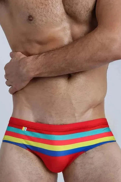 Colorful Striped Bikini Low Rise Briefs
