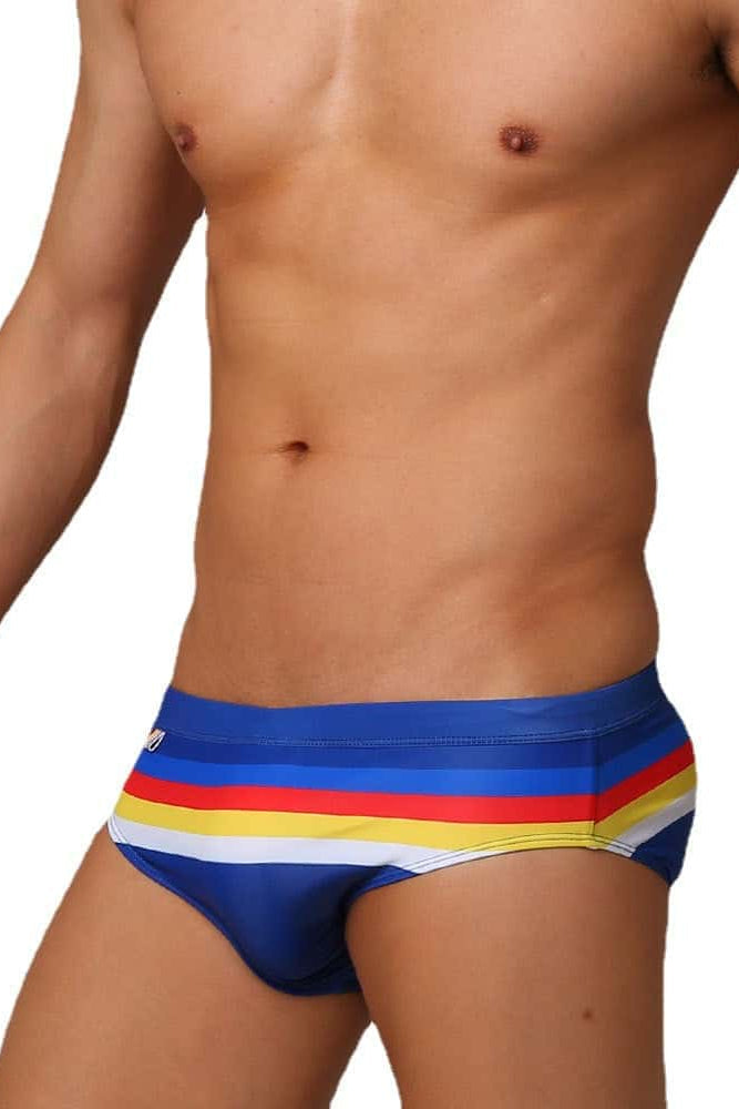 Colorful Striped Bikini Low Rise Briefs