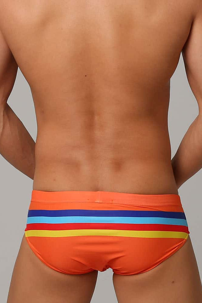 Colorful Striped Bikini Low Rise Briefs