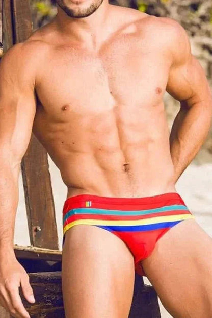 Colorful Striped Bikini Low Rise Briefs