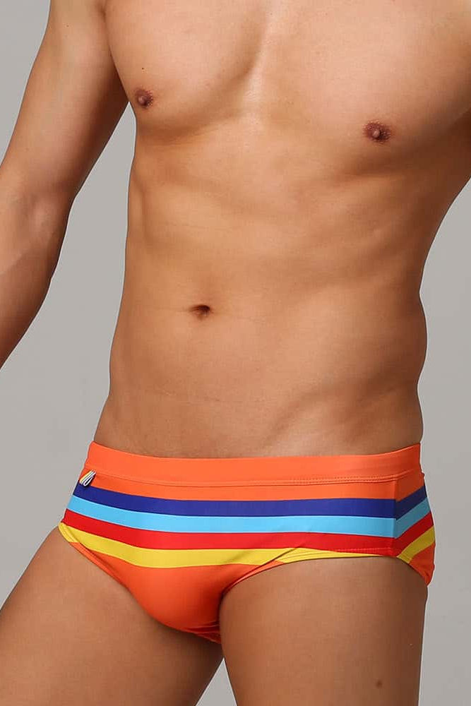 Colorful Striped Bikini Low Rise Briefs