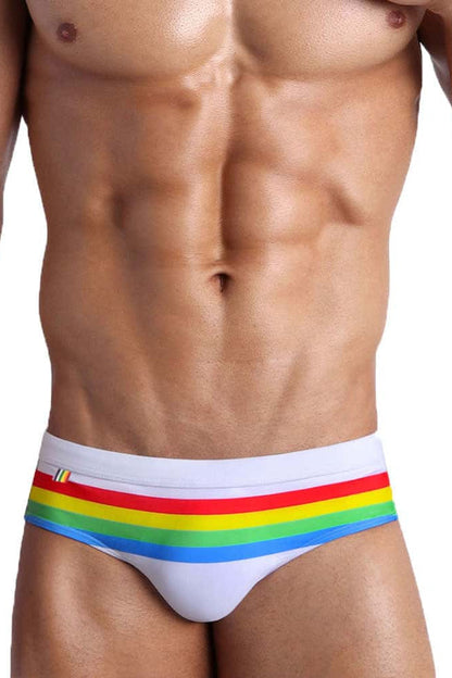 Colorful Striped Bikini Low Rise Briefs
